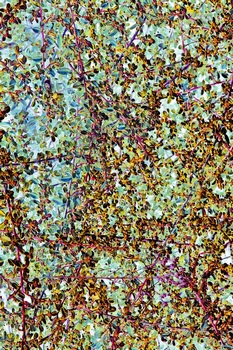 N 191D